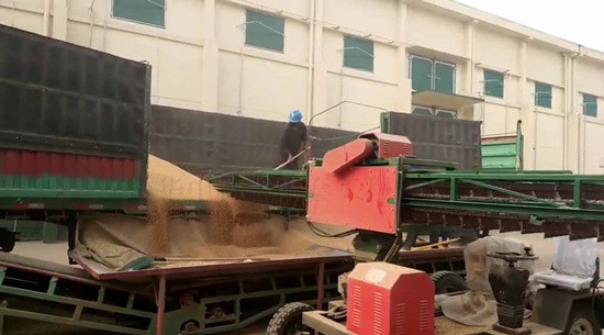 The mobile automobile bulk grain side unloader for sale working in the grain warehouse