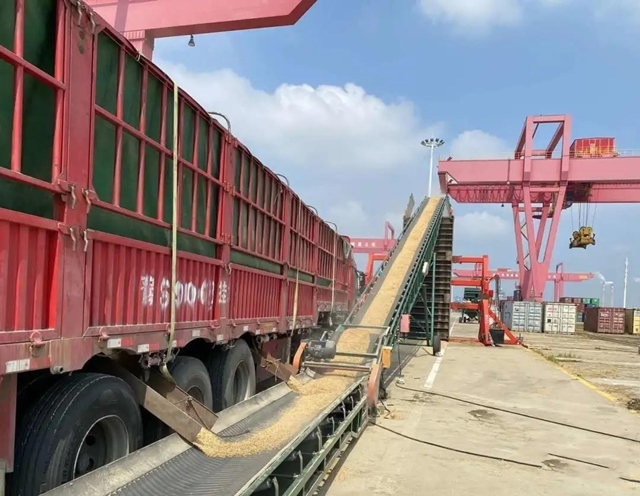 集装箱灌装1_使用版